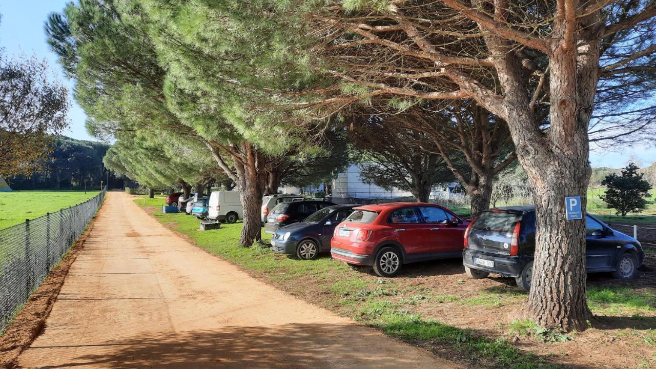 El Oasis De Anayansi Cabanas Con Encanto Vejer de la Frontera Exteriör bild
