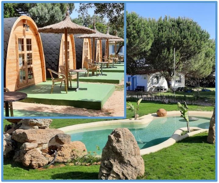 El Oasis De Anayansi Cabanas Con Encanto Vejer de la Frontera Exteriör bild